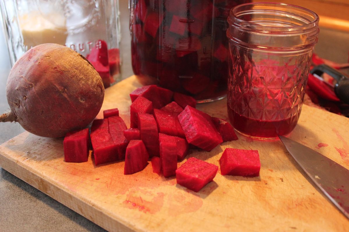 How to make beet kvass, a traditional tonic Hello Homestead